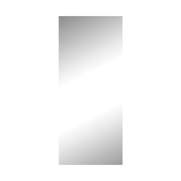 Silver Mirror Solid Wall Panel