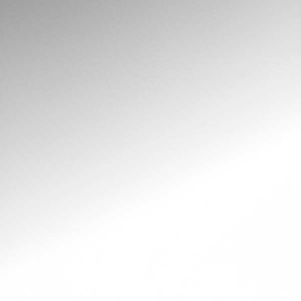 Solid Wall Panel Mirror