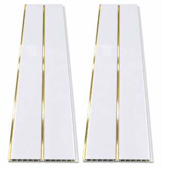 White With Gold Lines Ceiling Cladding Panels